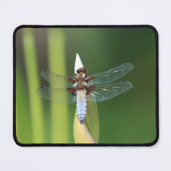 Item preview, Dragonfly Dozing designed and sold by Fearless-Fox.