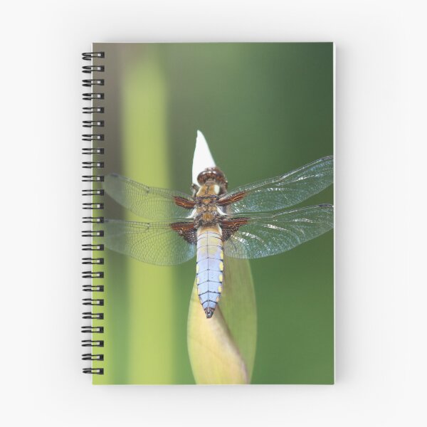 Item preview, Dragonfly Dozing designed and sold by Fearless-Fox.