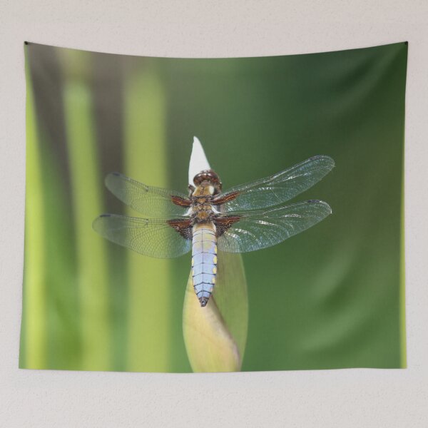 Item preview, Dragonfly Dozing designed and sold by Fearless-Fox.