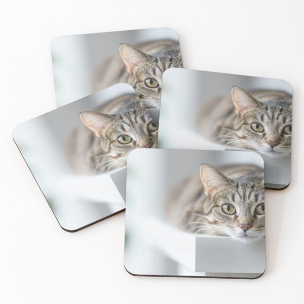Item preview, Cat on a white surface designed and sold by anytka.