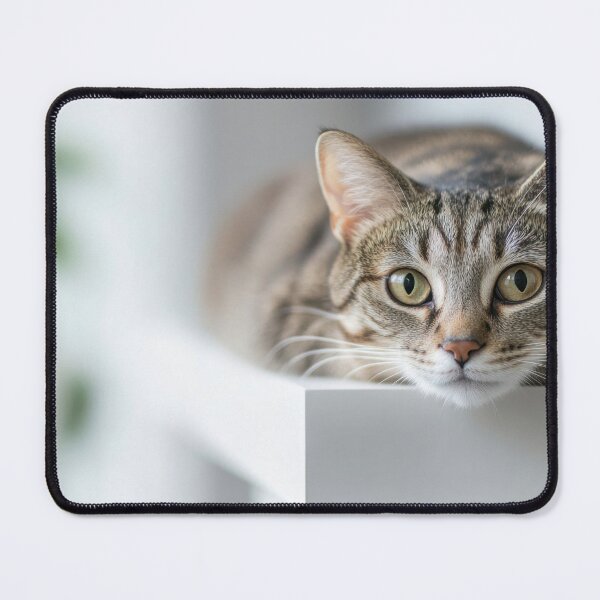 Item preview, Cat on a white surface designed and sold by anytka.