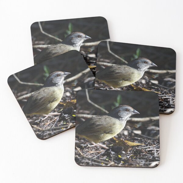 Item preview, Zapata Sparrow designed and sold by EnglandEcology.