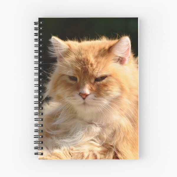 Item preview, Cat designed and sold by MilanMKM.