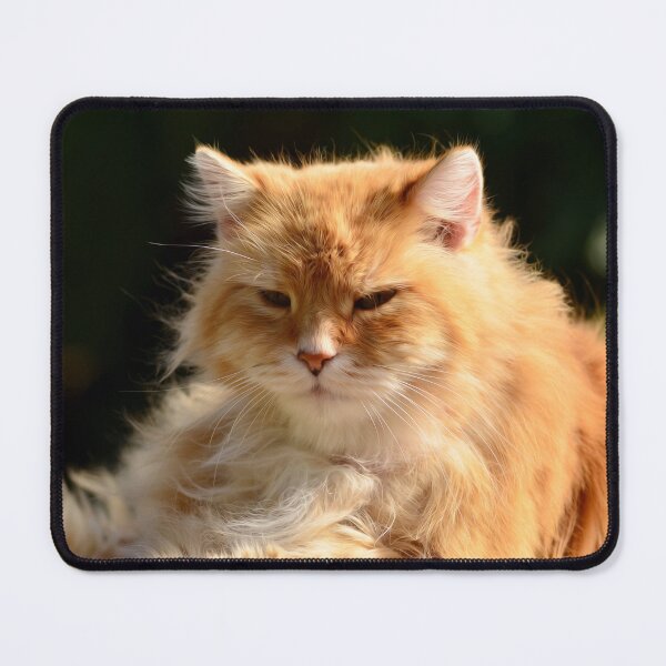 Item preview, Cat designed and sold by MilanMKM.