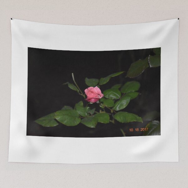 Item preview, Pink Rose  designed and sold by ArtGraziano.