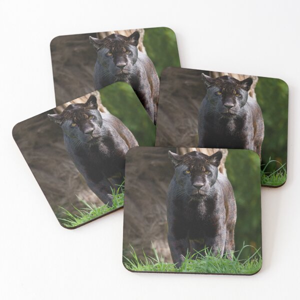 Item preview, Black Jaguar Standing Alert designed and sold by rawshutterbug.