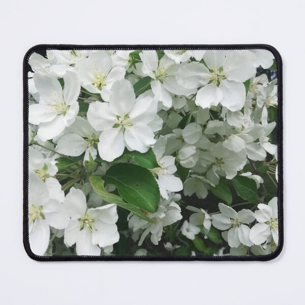 Item preview, White spring blossom photograph designed and sold by esvb.