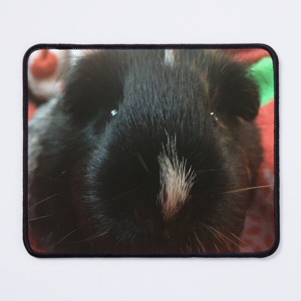 Item preview, Nose boop pig designed and sold by Ashley’sAnimalz.