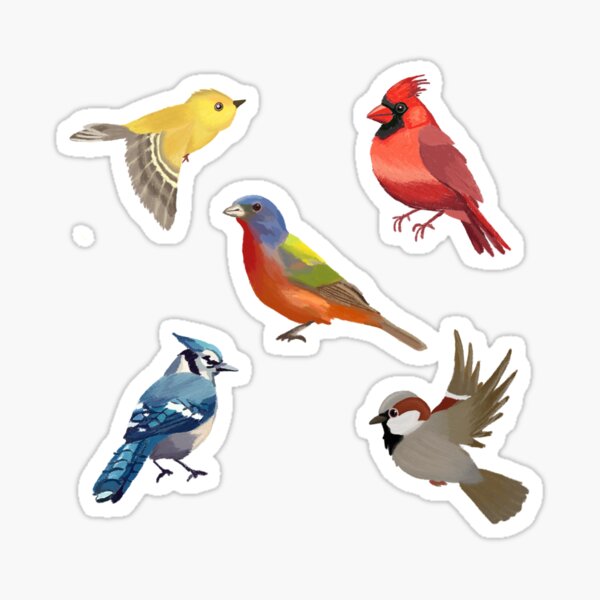 Item preview, Colorful Birds designed and sold by Rainbowcreates.