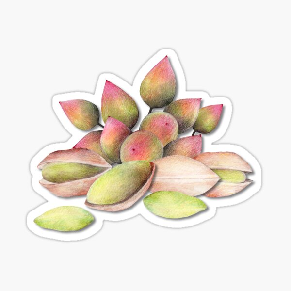 Item preview, Pistachio designed and sold by Art_By_Wing.