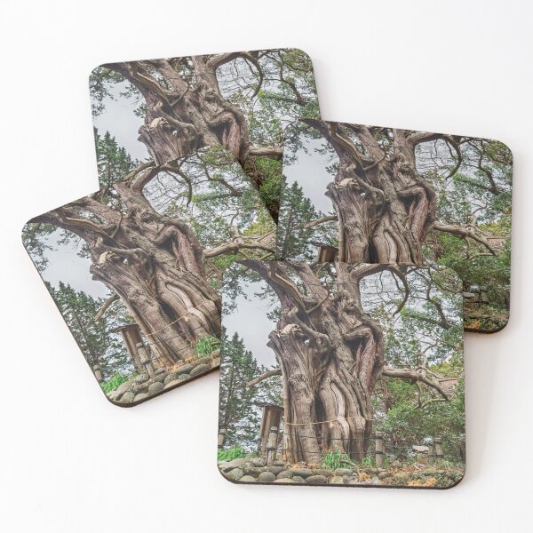 Item preview, Revered Grove of Divine Junipers at Cape Osezaki designed and sold by Pix4Japan.