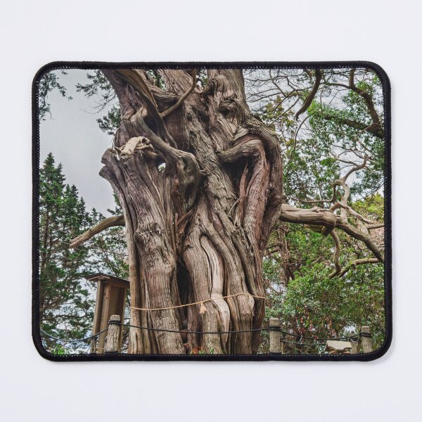 Item preview, Revered Grove of Divine Junipers at Cape Osezaki designed and sold by Pix4Japan.
