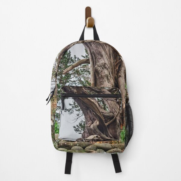 Item preview, Revered Grove of Divine Junipers at Cape Osezaki designed and sold by Pix4Japan.