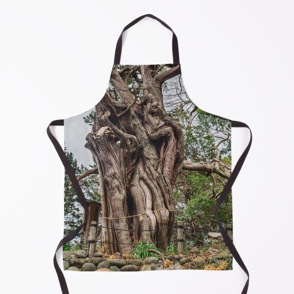 Item preview, Revered Grove of Divine Junipers at Cape Osezaki designed and sold by Pix4Japan.