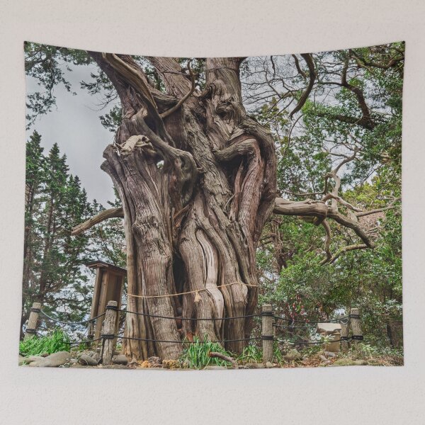 Item preview, Revered Grove of Divine Junipers at Cape Osezaki designed and sold by Pix4Japan.