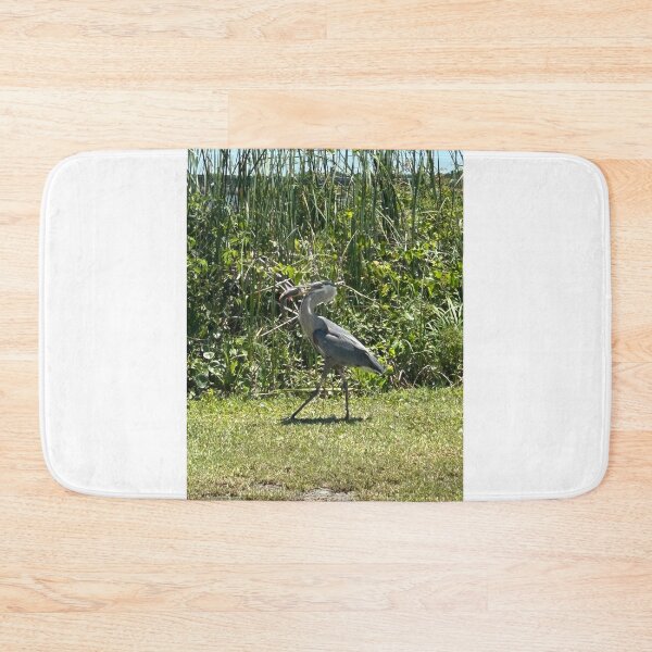 Item preview,  Coastal Birds of prey designed and sold by Pearls1.
