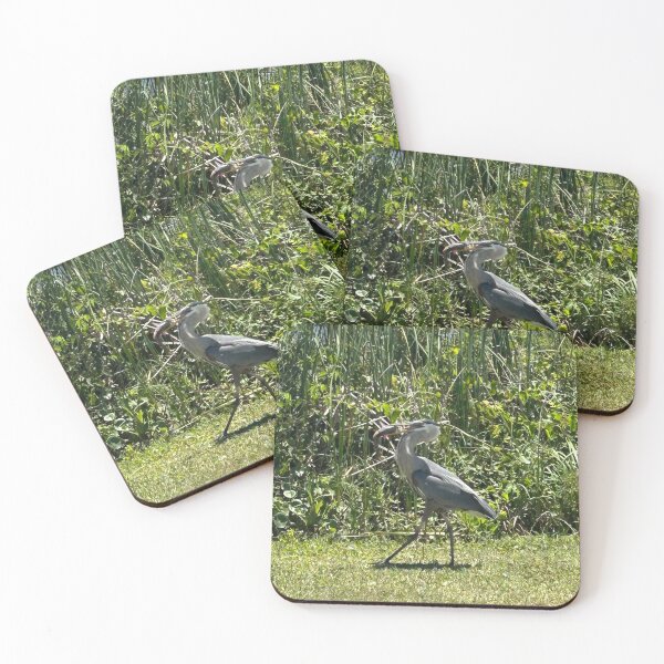 Item preview,  Coastal Birds of prey designed and sold by Pearls1.