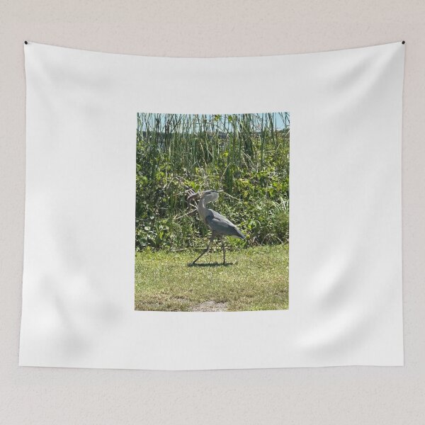 Item preview,  Coastal Birds of prey designed and sold by Pearls1.