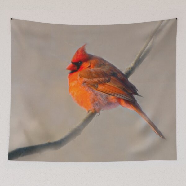 Item preview,  Cardinal -Go Out On A Limb  designed and sold by ginawaltersdorf.
