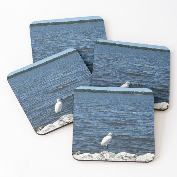 Item preview, Birds of the bay designed and sold by Pearls1.