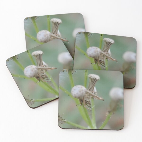 Item preview, weeds designed and sold by Ashley’sAnimalz.