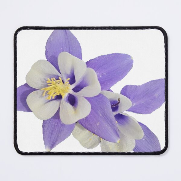 Item preview, blue columbine flower on a white background designed and sold by Lizzilzil.