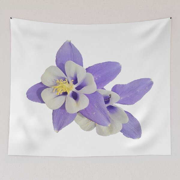 Item preview, blue columbine flower on a white background designed and sold by Lizzilzil.