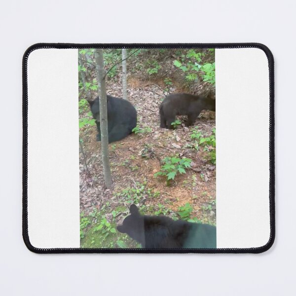 Item preview, Three little bears designed and sold by Pearls1.