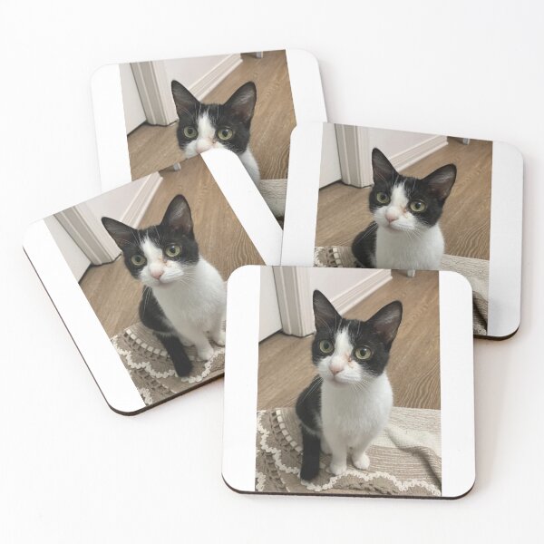 Item preview, A cats life designed and sold by Pearls1.