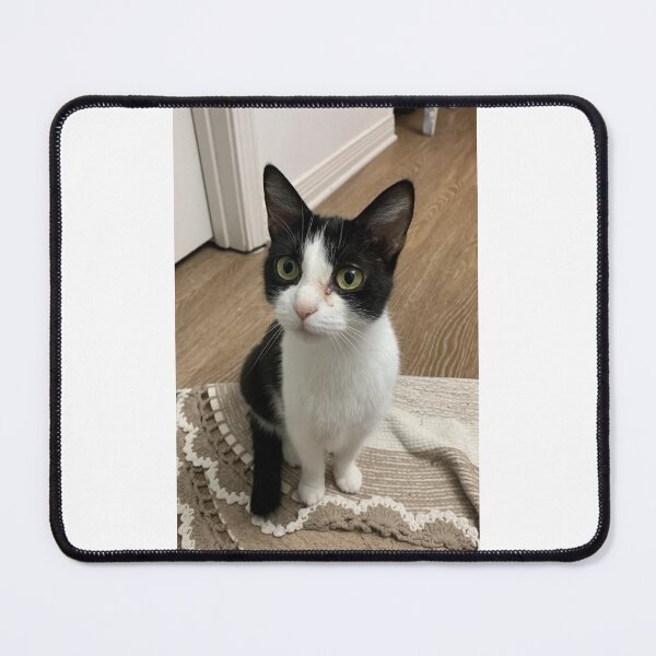 Item preview, A cats life designed and sold by Pearls1.