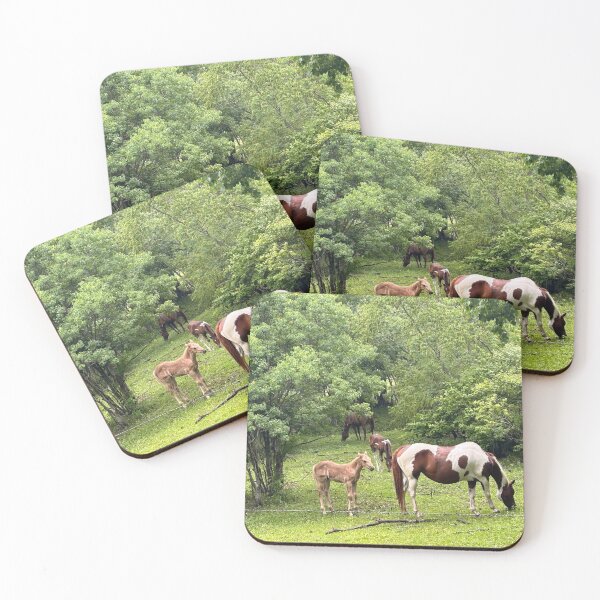 Item preview, The foal designed and sold by Pearls1.