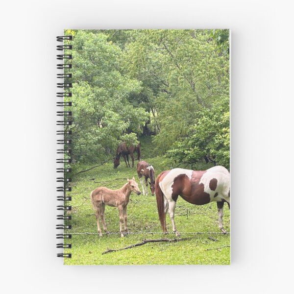 Item preview, The foal designed and sold by Pearls1.