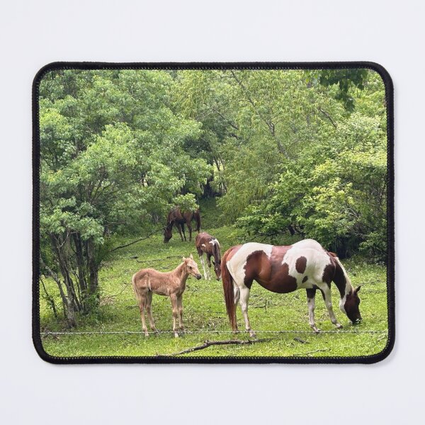 Item preview, The foal designed and sold by Pearls1.