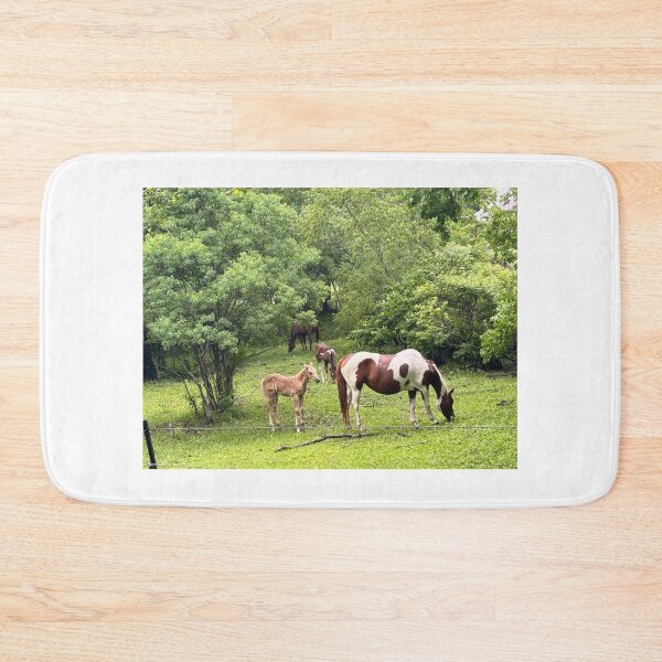 Item preview, The foal designed and sold by Pearls1.