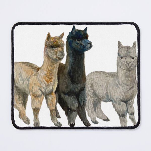Item preview, Three Alpacas designed and sold by jazzymbf.