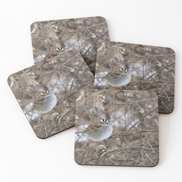 Item preview, White Throated Sparrow Looking at You designed and sold by Chris Coates Photography.com.