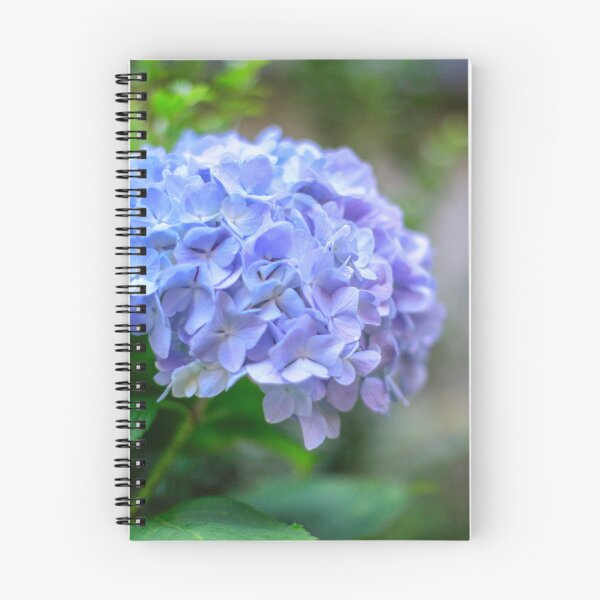 Aperçu de l'œuvre Fleurs d'hortensia bleu créée et vendue par Ally Mon Wai.