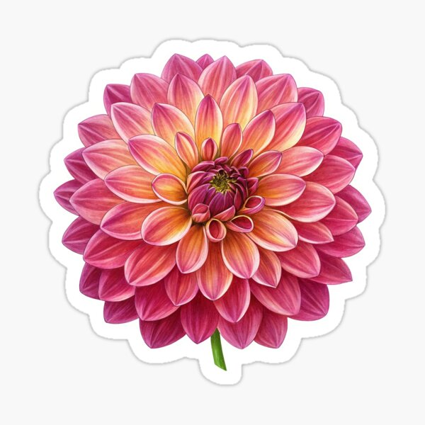Item preview, Dahlia pink and yellow flower designed and sold by libLiv.
