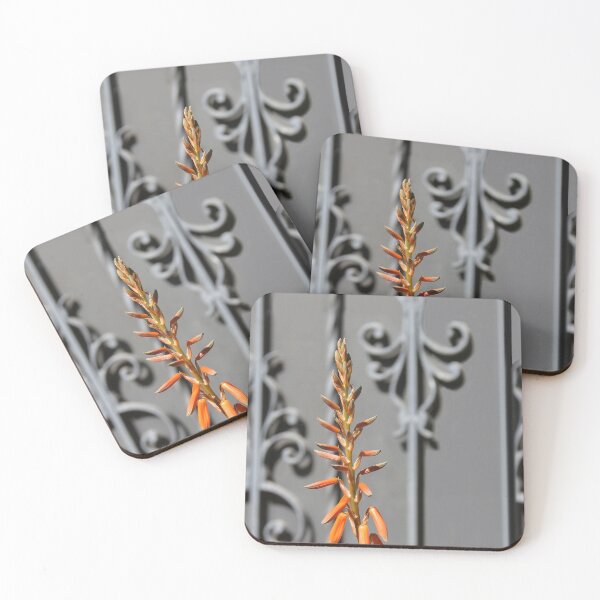 Item preview, Amazing Echeveria Seed Blossoms designed and sold by heatherfriedman.