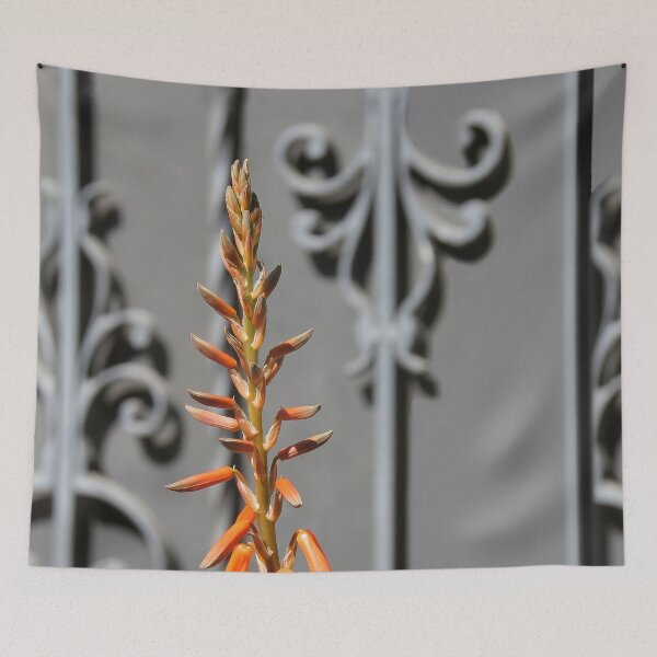 Item preview, Amazing Echeveria Seed Blossoms designed and sold by heatherfriedman.