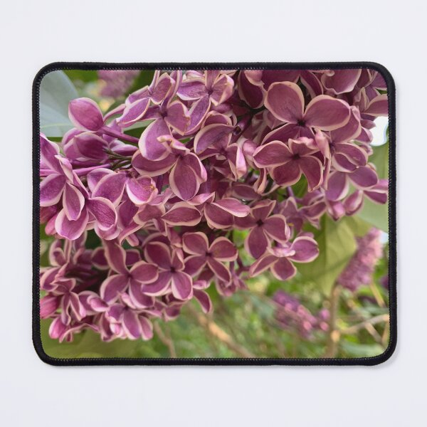 Item preview, Smell of Lilac designed and sold by agnessa38.