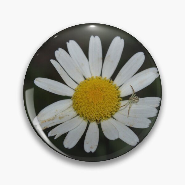 Item preview, Flower Crab Spider on a Daisy designed and sold by sobrlquet.
