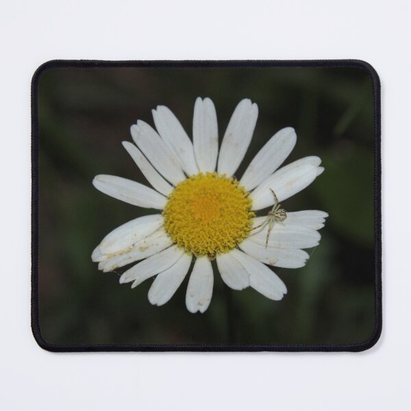 Item preview, Flower Crab Spider on a Daisy designed and sold by sobrlquet.