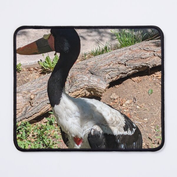 Item preview, Beautiful bird designed and sold by Outlawturnip.