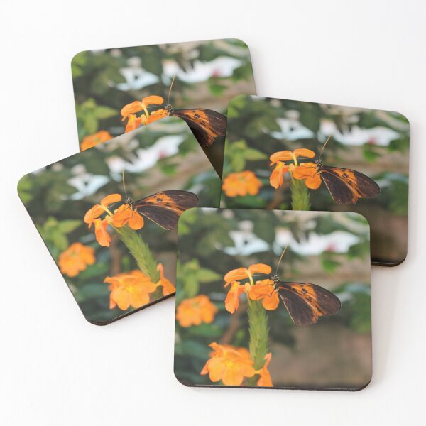 Item preview, Heliconius Butterfly on a Flower designed and sold by sobrlquet.