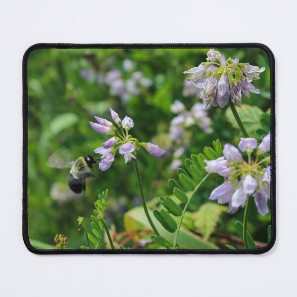 Item preview, Bumble Bee Pollinating designed and sold by sobrlquet.