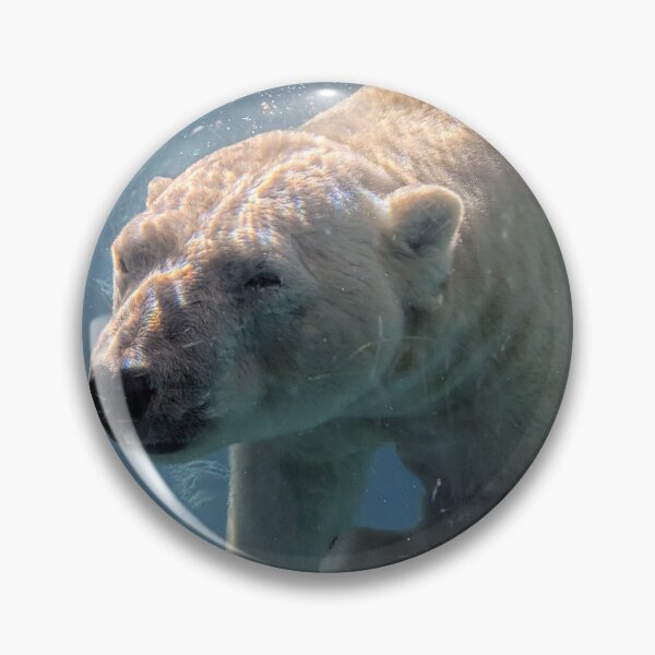 Item preview, Polar bear designed and sold by Outlawturnip.