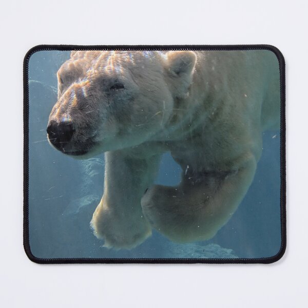 Item preview, Polar bear designed and sold by Outlawturnip.