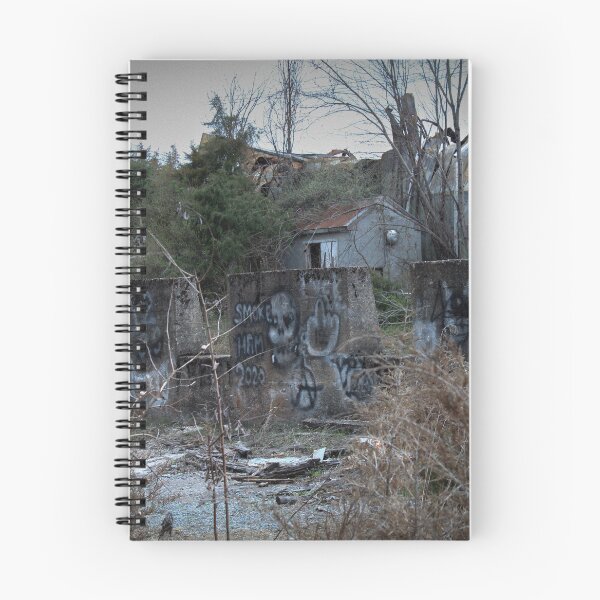Item preview, Graffiti on Abandoned Building designed and sold by sobrlquet.