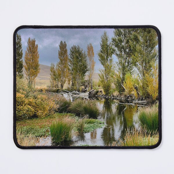 Item preview, Reflections on a Dalles Dam designed and sold by Larry Davis.